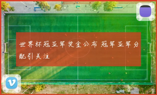 世界杯冠亚军奖金公布 冠军亚军分配引关注
